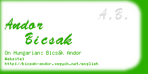 andor bicsak business card