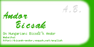 andor bicsak business card